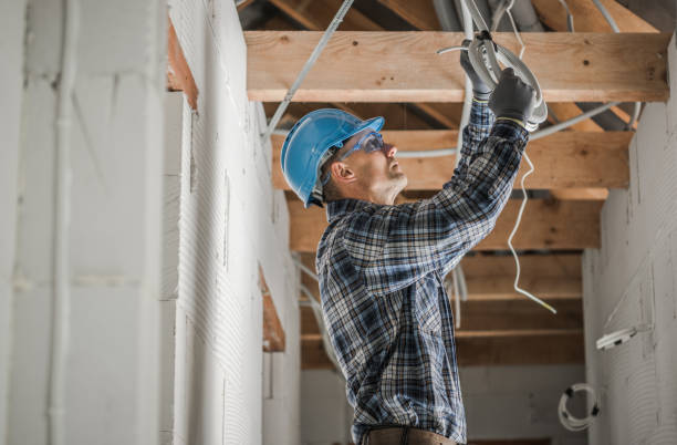 Best Licensed Electrician  in Tierra Verde, FL