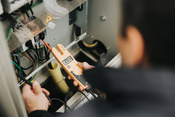 Best Local Electrician Companies  in Tierra Verde, FL